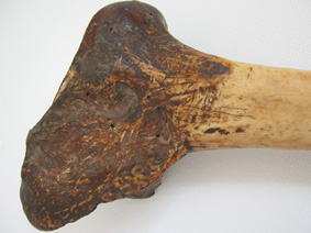 cassowary bone dagger
