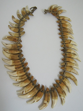 dog tooth necklace